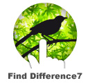 Find Difference1